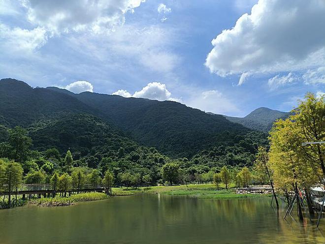 太极阴阳拳教学：掌握阴阳平衡的艺术